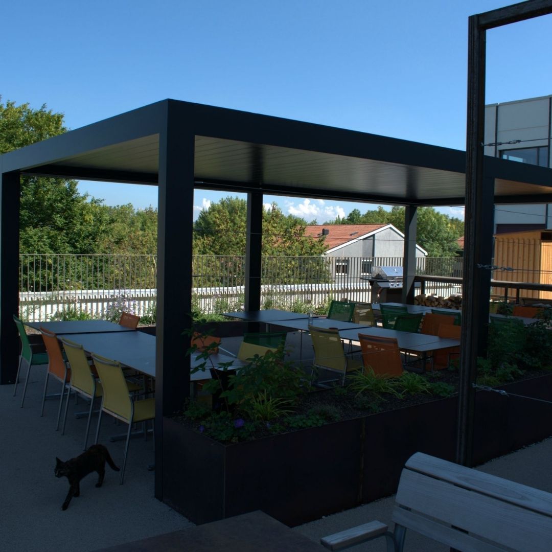 Portfolio Image